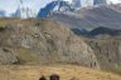 Prof. Cathleen Röhricht