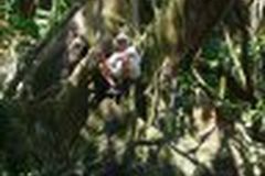 Dipl.-Ing. Emmy Jacob