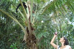 Gesine Werner B.Eng.