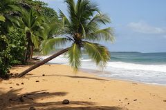 Justine Rosemann-Dörr